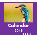 2018 Birds Calendar APK