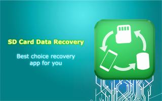 SD Card Data Recovery постер