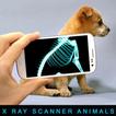 الأشعةالسينيةماسحةالحيوانات