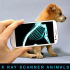 Xray Scanner Animals Prank আইকন