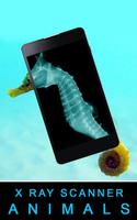 برنامه‌نما Xray Scanner Animals Prank عکس از صفحه