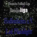 Hoffenheim-e.V. Taschenlampe