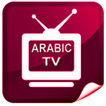 Pro Arabic TV