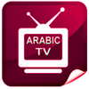 Pro Arabic TV icon
