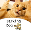 APK Barking Dog