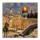 jerusalem life আইকন