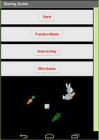 Carrots Bunny 海报
