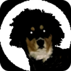 The Dog Trainer 1000 Free icon