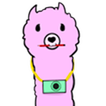 Camera Canvas