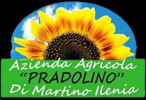 Pradolino Affiche