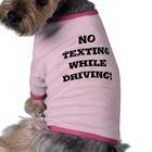 No text while driving icône