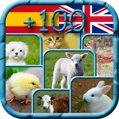 ANIMALES - ANIMALS APK download