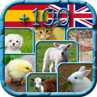 ANIMALES - ANIMALS-icoon