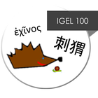 Igel100 icon