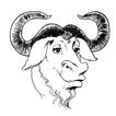 Navegador GNU