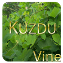 Kudzu Vine Recipes APK