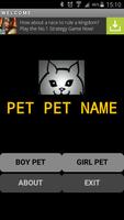 "PET PET NAME" Affiche
