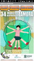 Marcha Asprosub Zamora-poster