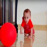 طيور الجنة - الحلو صار يحبي