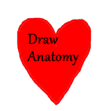 DrawAnatomy アイコン