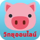 ข่าวคู่หูหมูสองตัว biểu tượng