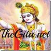 The Gita