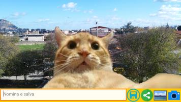 Selfie Cat Affiche