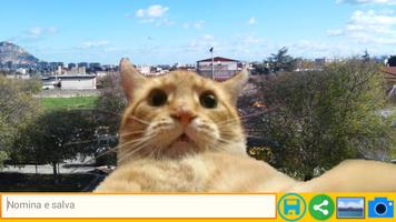 Selfie Cat الملصق