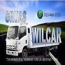 GRUAS WILCAR APK