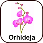 Travel agency Orhideja icon