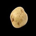 Grow the king potatoes™ icon