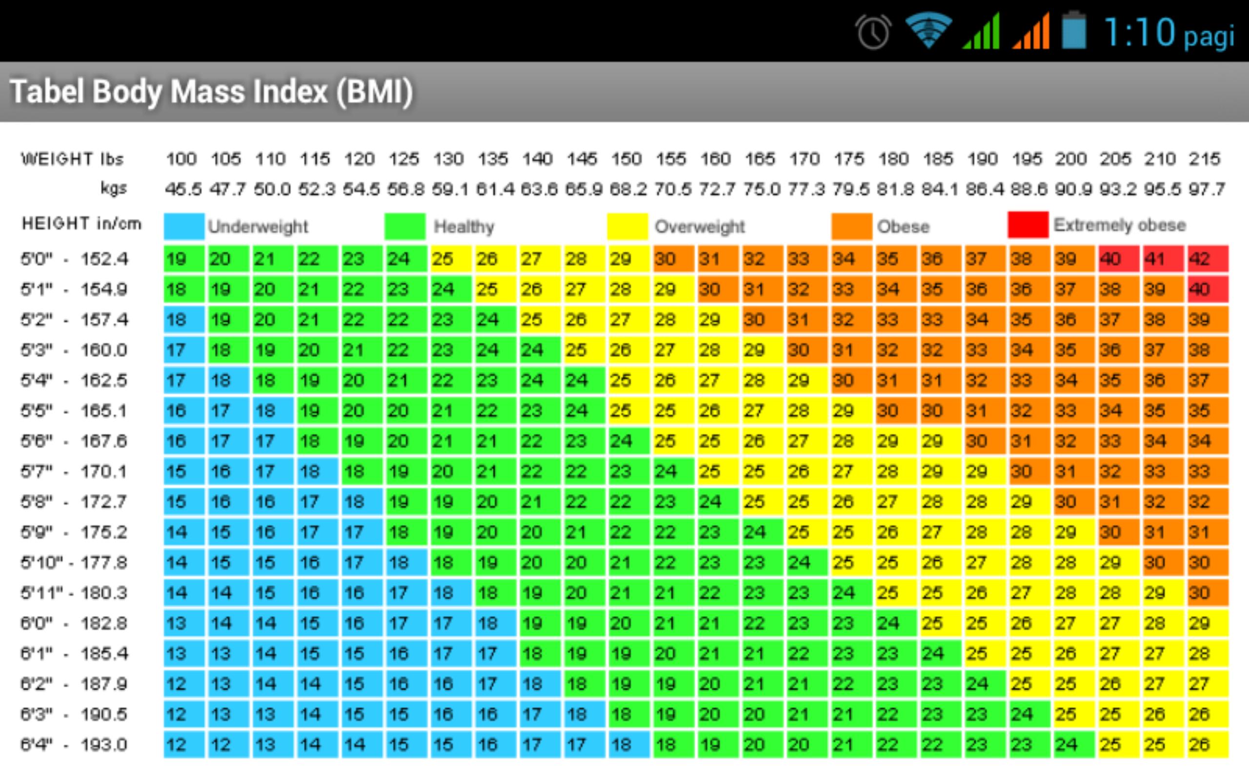 Body Mass Index Calculator Open Office Templates - Gambaran