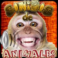 Sonidos de Animales Plakat