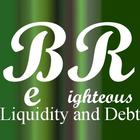 Biz Liquidity and Debt fixed icône