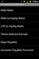 Biz Liquidity and Debt fixed capture d'écran 3