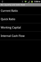 Biz Liquidity and Debt fixed screenshot 1