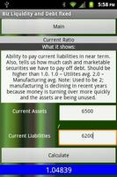 Biz Liquidity and Debt fixed screenshot 2