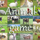 Animal Game IT Free APK