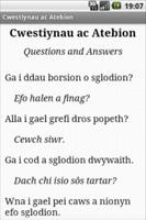 Cymraeg y Siop Sglodion স্ক্রিনশট 1