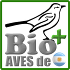 Aves del Neuquén (Argentina) icône