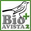 Avistados