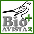 Avistados ikona