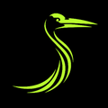 Bird Guide