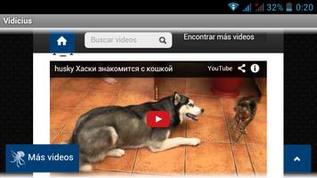 Videos online en Vidicius screenshot 1