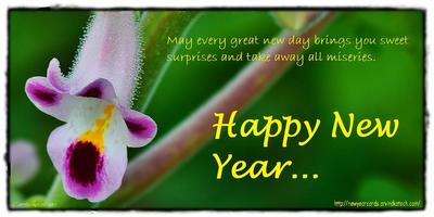 True Pic New Year Cards постер
