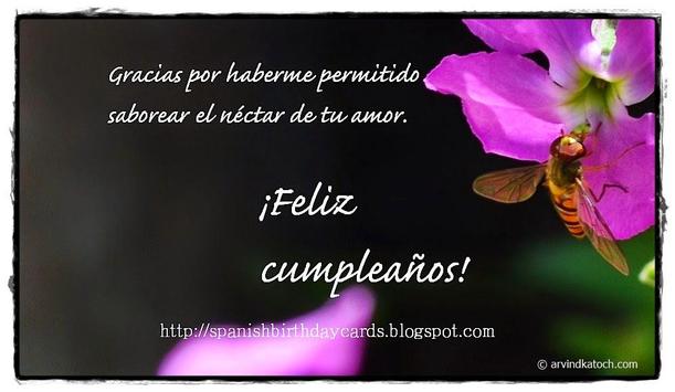 spanish birthday cards for android apk download