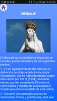 Novena a la Virgen de Lourdes screenshot 3