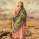 Novena a Santa Marta icône
