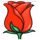 How to draw a realistic rose APK