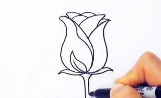 How to draw a realistic rose Affiche